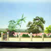 houses