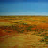 Outback 02